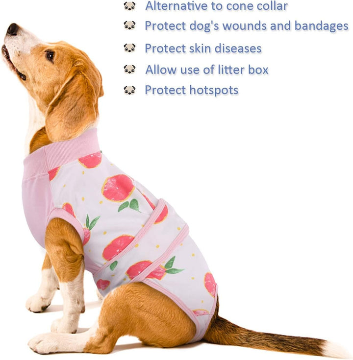 Fast Recovery Suit for Pets – Healing After Surgery
