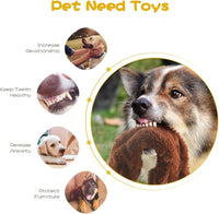 Durable Squeaky Dog Toy - Set of 5