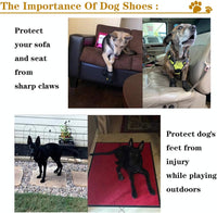 All-Weather Dog Boots for Safe Adventures