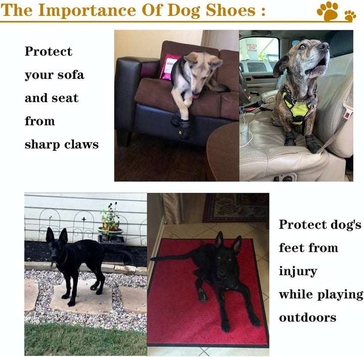 All-Weather Dog Boots for Safe Adventures