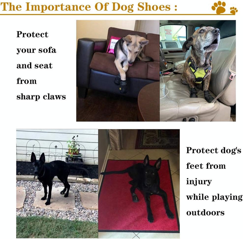 All-Weather Dog Boots for Safe Adventures
