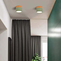 Morandi Style Modern LED Ceiling Lamp - LumiModo