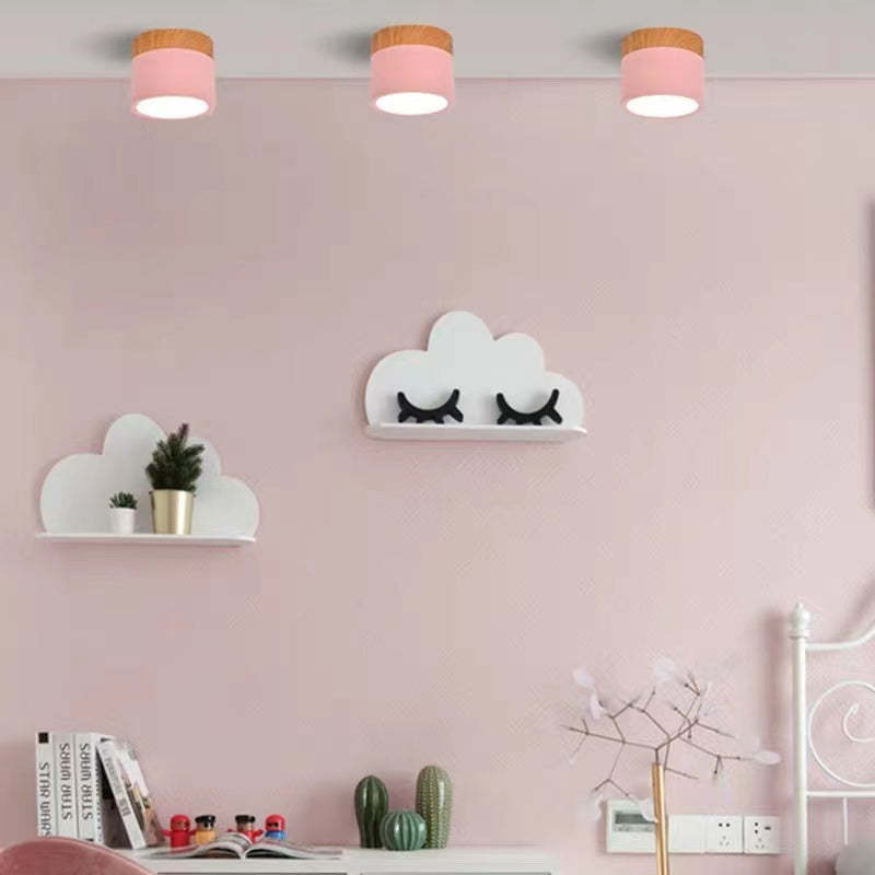 Morandi Style Modern LED Ceiling Lamp - LumiModo