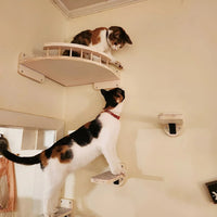 Wandklimplank voor Katten met Krabpaal - ClimbPaws