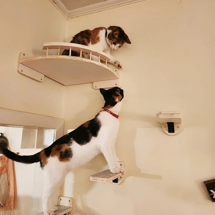 Wandklimplank voor Katten met Krabpaal - ClimbPaws