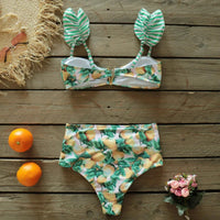 Sammy Jackson™ Fay Bikini | Unique & Stylish