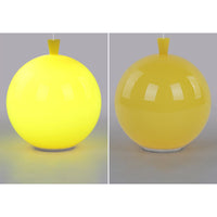 Compact Modern LED Balloon Ceiling Lamp - AuraLite