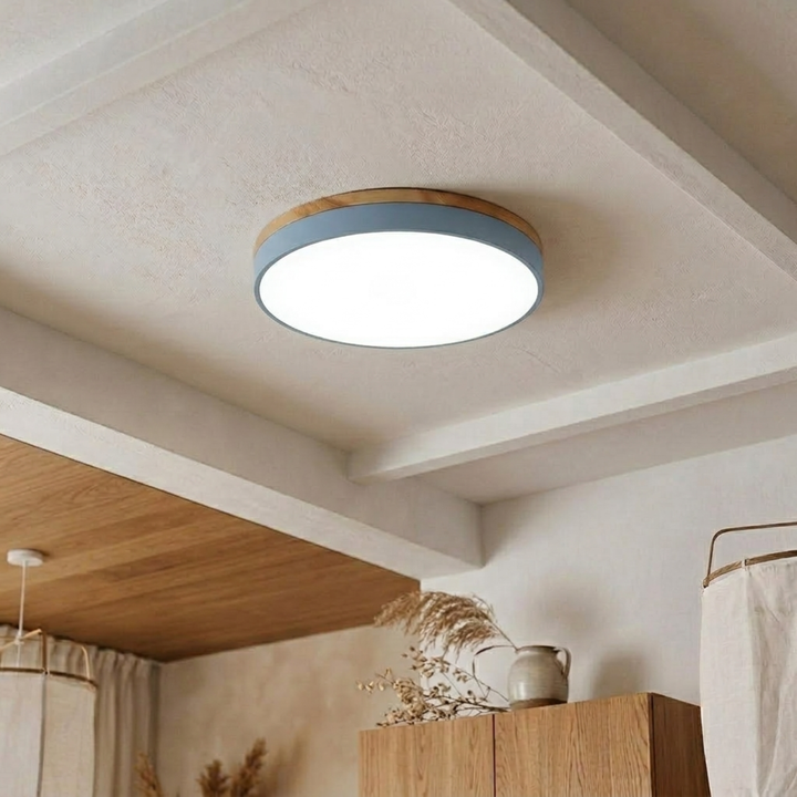 Round Disc Ceiling Light – Flat Flush Mount Fixture 19