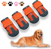 All-Weather Dog Boots for Safe Adventures