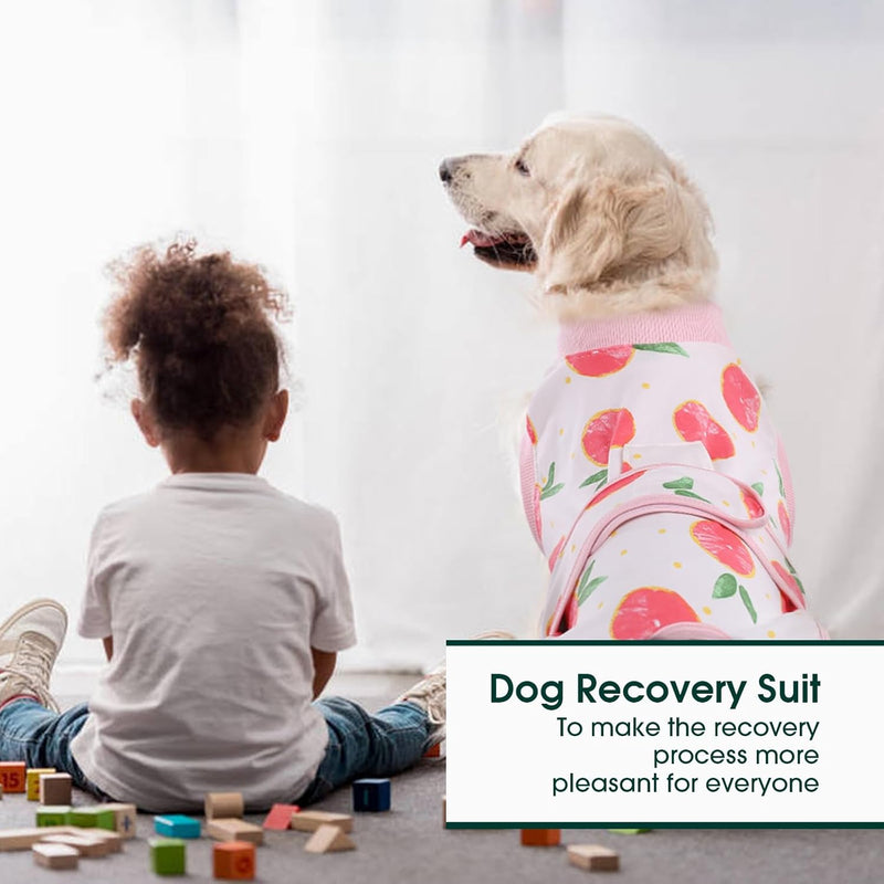 Fast Recovery Suit for Pets – Healing After Surgery