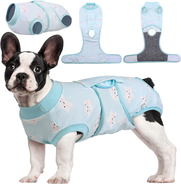 Fast Recovery Suit for Pets – Healing After Surgery