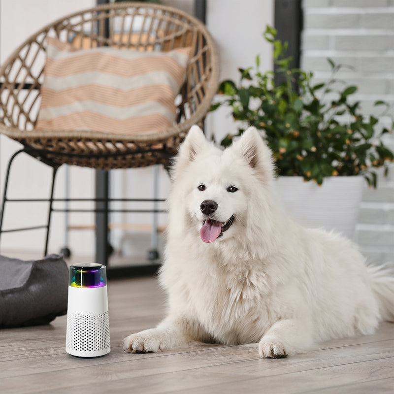 Pet Scent Humidifier - PetFresh