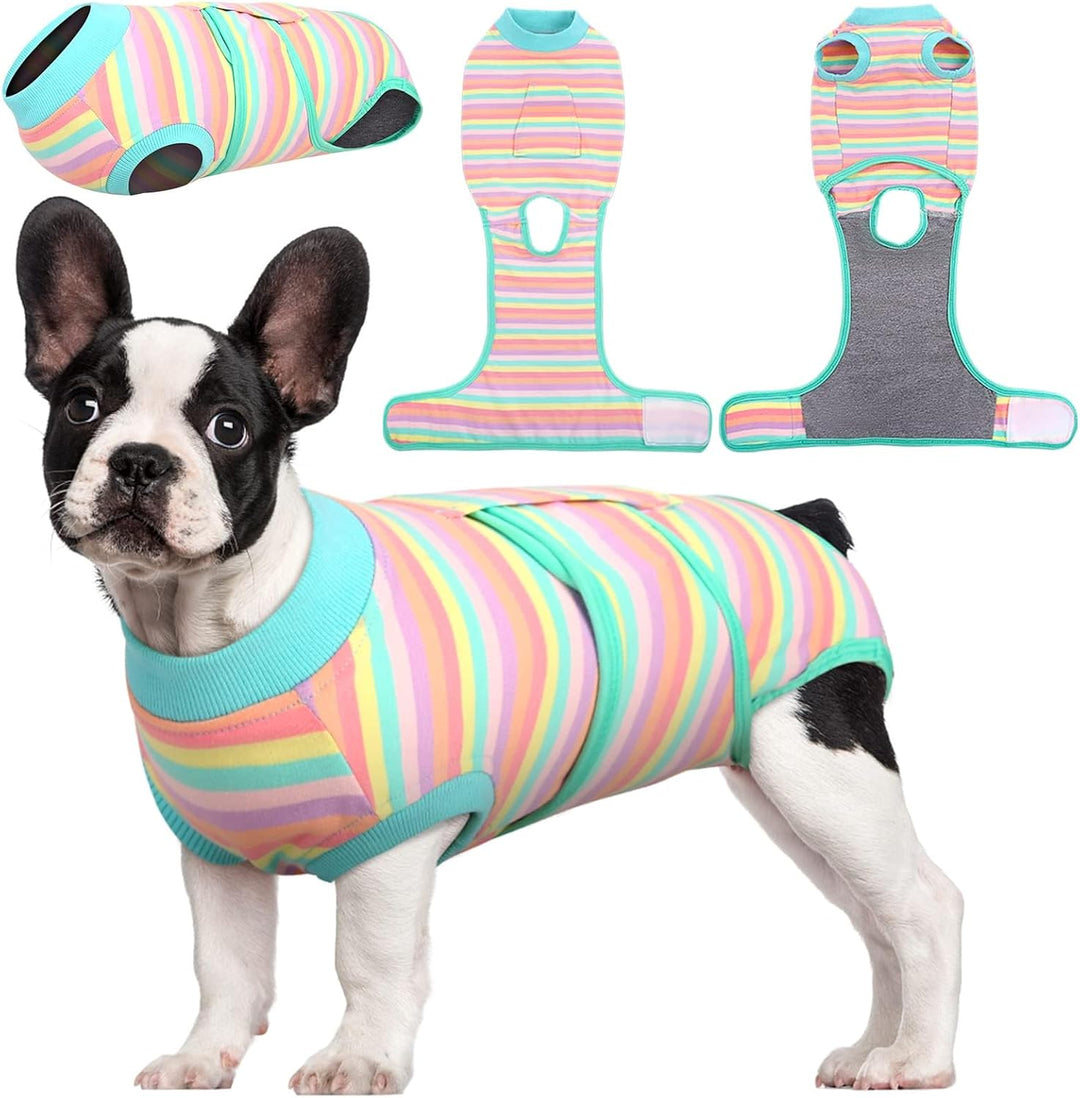 Fast Recovery Suit for Pets – Healing After Surgery