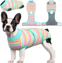 Fast Recovery Suit for Pets – Healing After Surgery