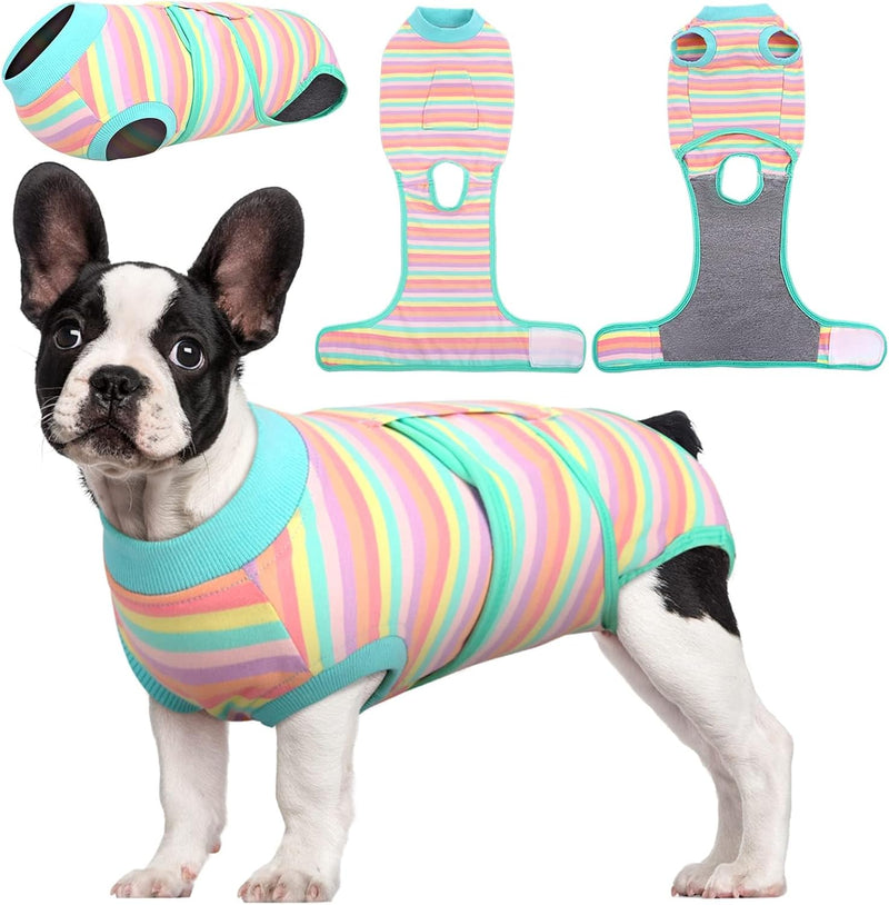 Fast Recovery Suit for Pets – Healing After Surgery