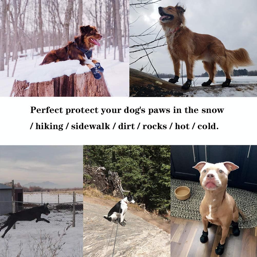 All-Weather Dog Boots for Safe Adventures
