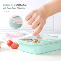 4-Pack Bento Snack Boxes – 4 Compartments