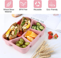 4-Pack Bento Snack Boxes – 4 Compartments
