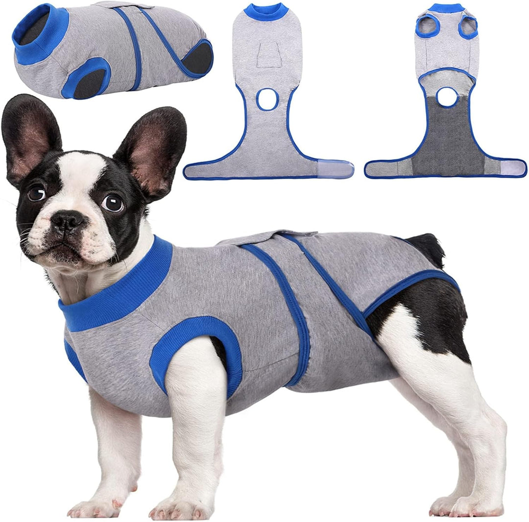Fast Recovery Suit for Pets – Healing After Surgery
