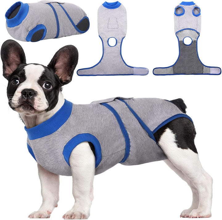 Fast Recovery Suit for Pets – Healing After Surgery