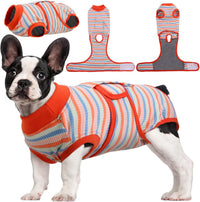 Fast Recovery Suit for Pets – Healing After Surgery