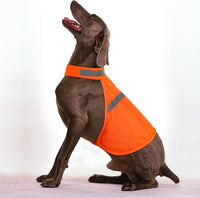 Reflective Dog Vest - High Visibility Safety Vest