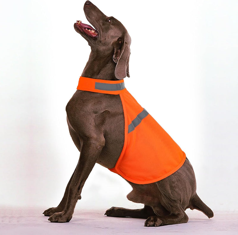 Reflective Dog Vest - High Visibility Safety Vest