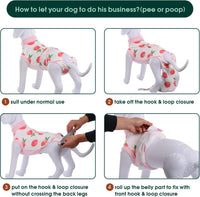 Fast Recovery Suit for Pets – Healing After Surgery