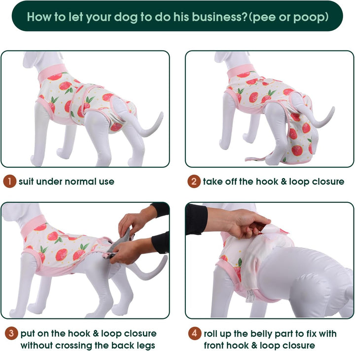 Fast Recovery Suit for Pets – Healing After Surgery