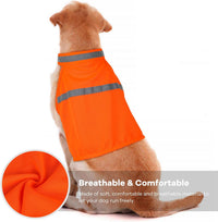 Reflective Dog Vest - High Visibility Safety Vest