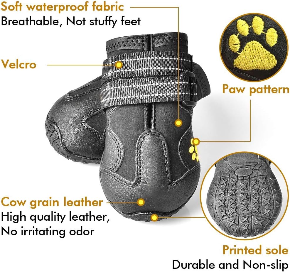 All-Weather Dog Boots for Safe Adventures