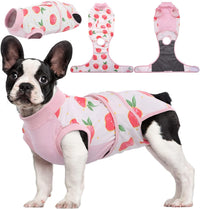Fast Recovery Suit for Pets – Healing After Surgery