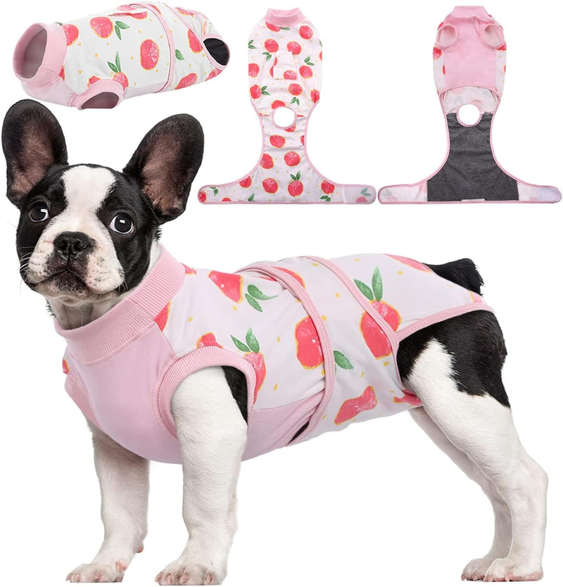 Fast Recovery Suit for Pets – Healing After Surgery