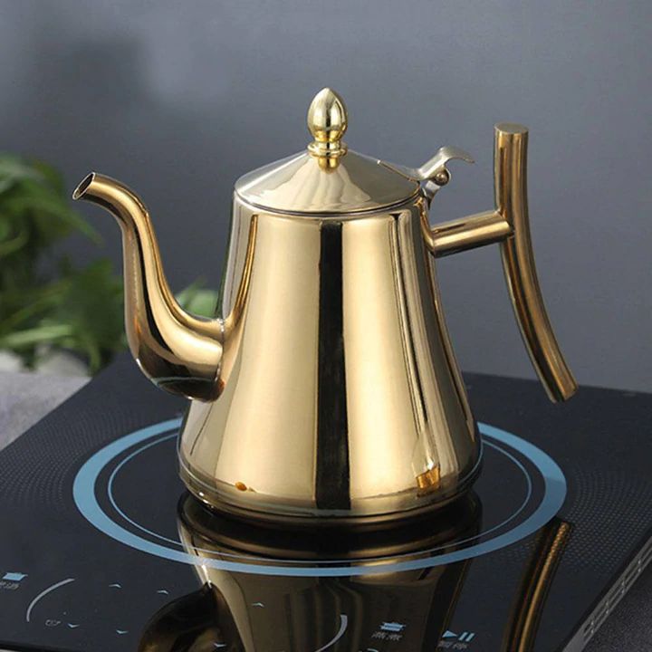 Induction Stainless Steel Kettle with Filter - AquaSteel