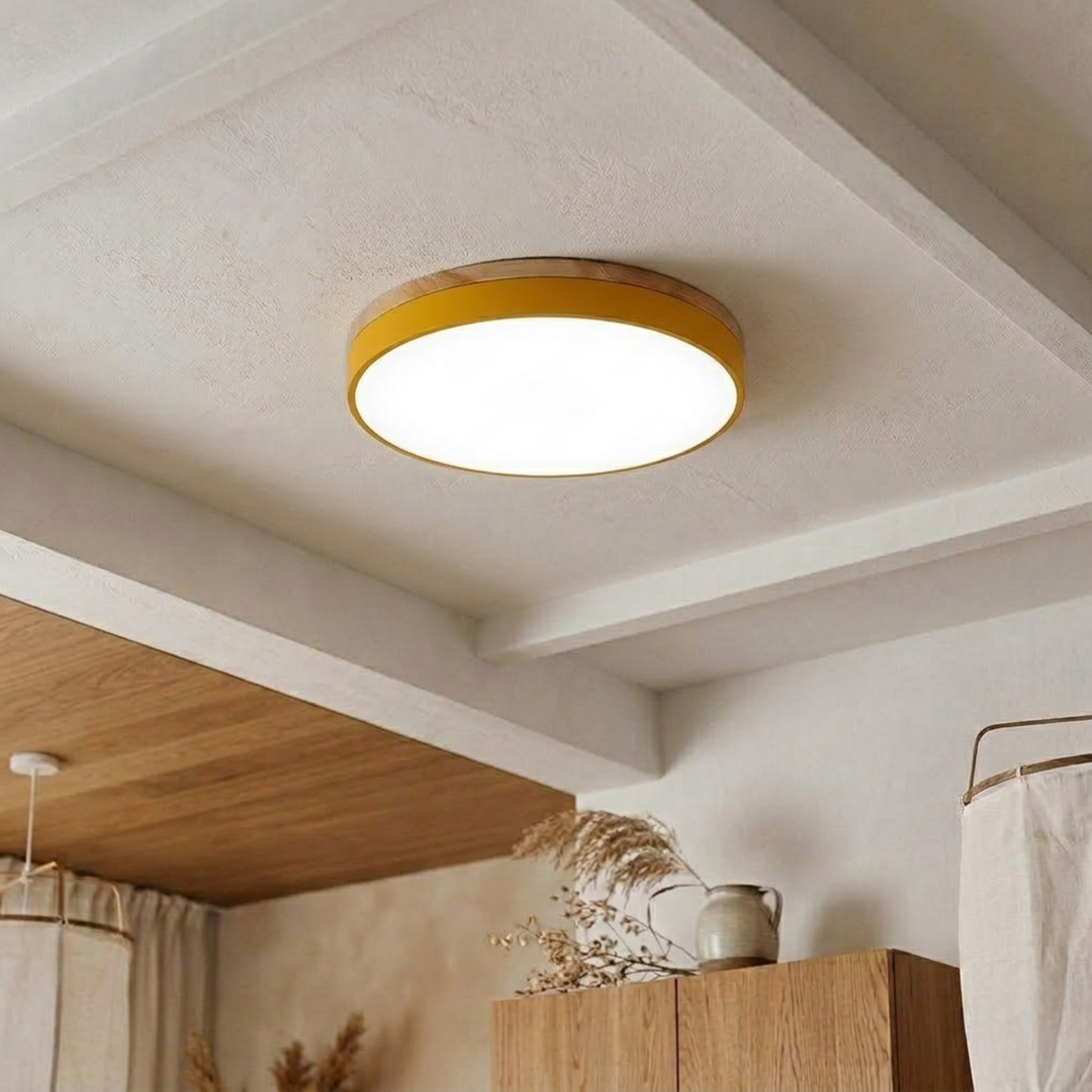 Round Disc Ceiling Light – Flat Flush Mount Fixture 21