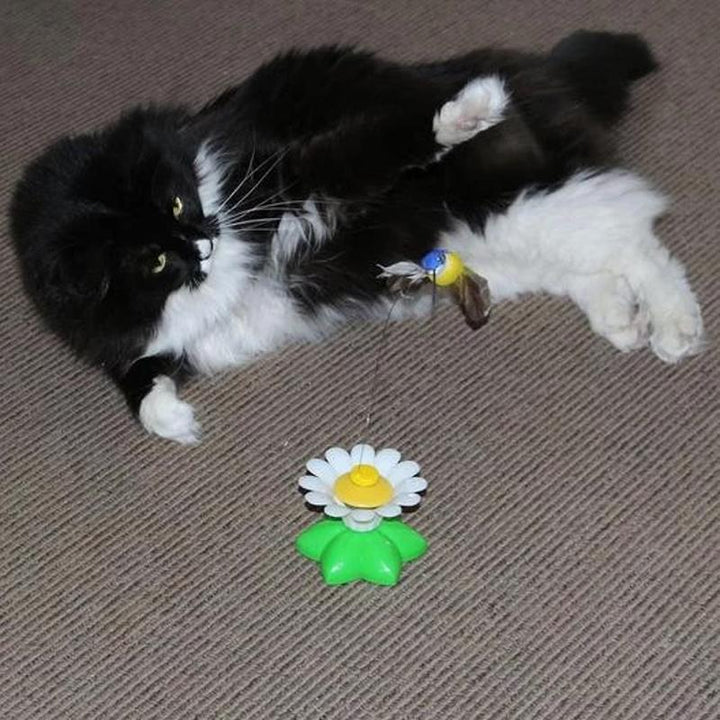 Interactive Bird Toy for Cats - Purrfect Play