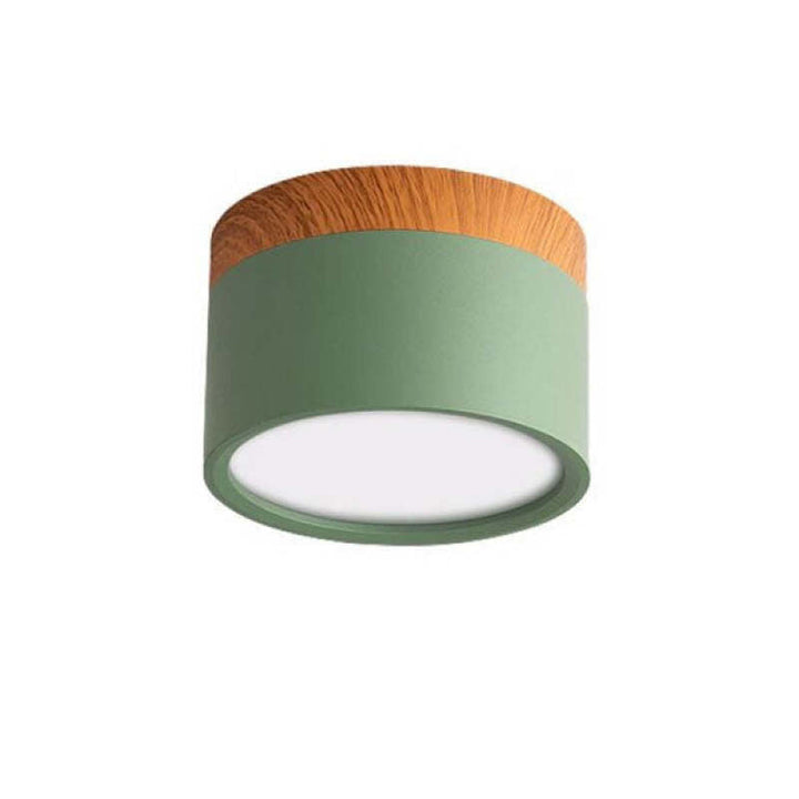 Morandi Style Modern LED Ceiling Lamp - LumiModo