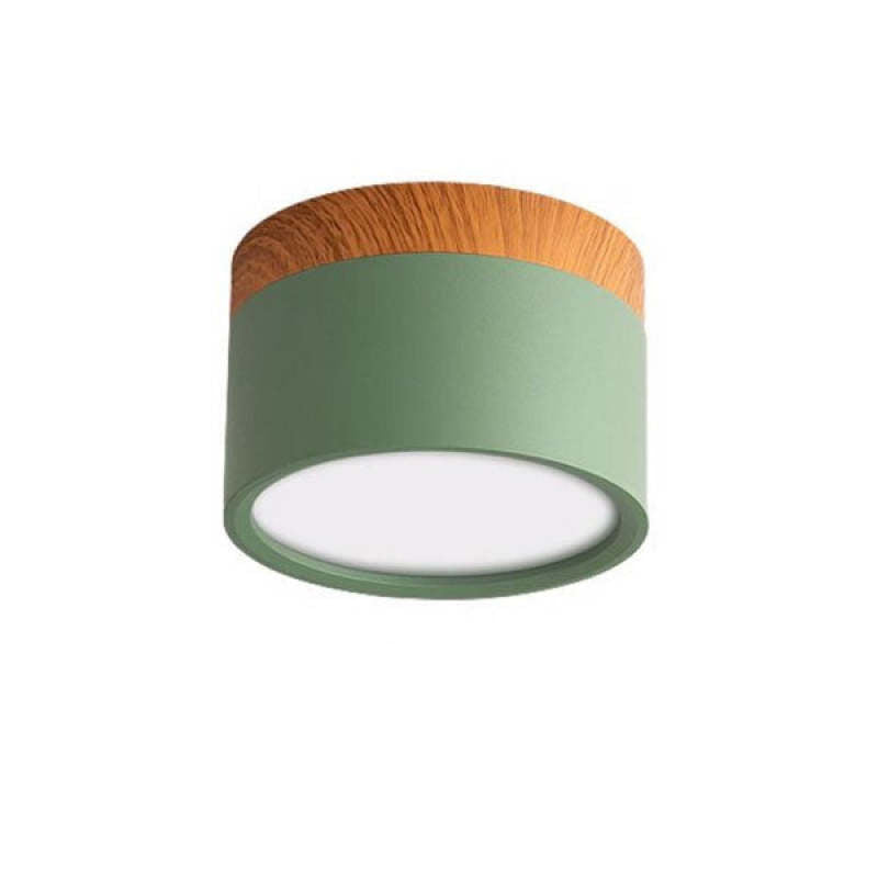 Morandi Style Modern LED Ceiling Lamp - LumiModo