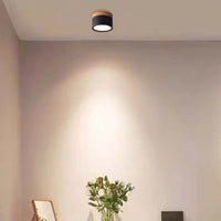 Morandi Style Modern LED Ceiling Lamp - LumiModo