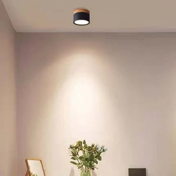 Morandi Style Modern LED Ceiling Lamp - LumiModo