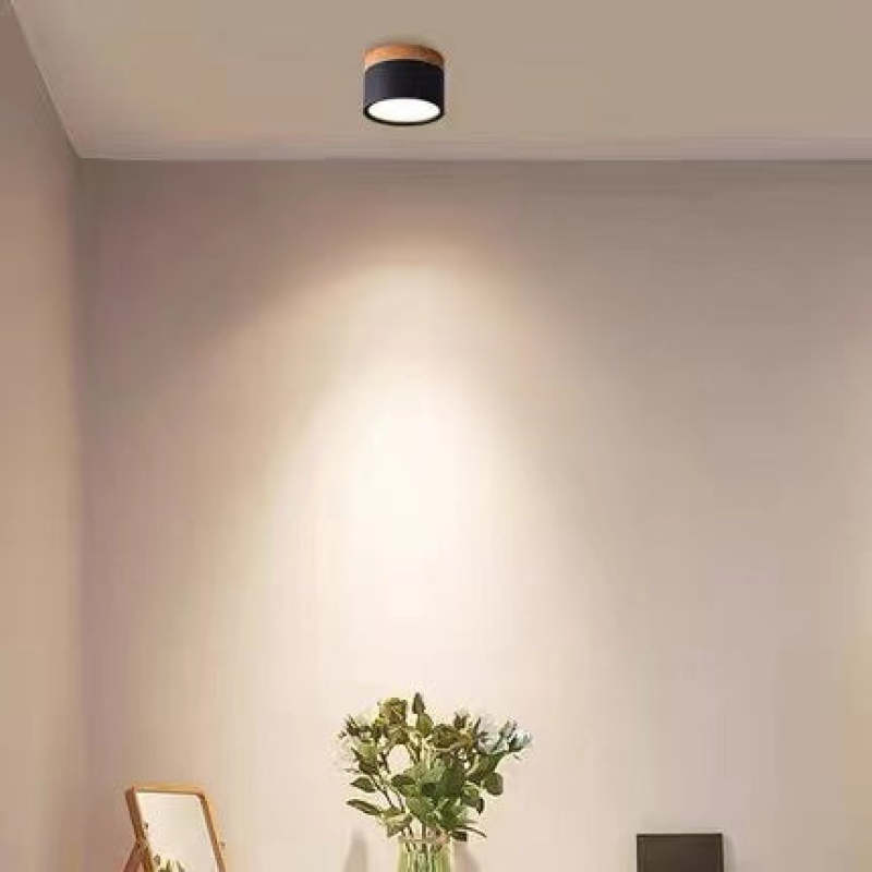 Morandi Style Modern LED Ceiling Lamp - LumiModo