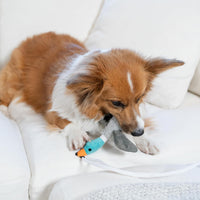 Tail Teaser Hondenspeelstok - Perfect voor Spel en Beweging!