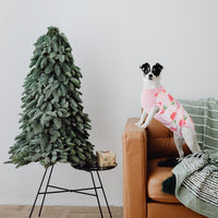 Fast Recovery Suit for Pets – Healing After Surgery