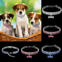 Premium Pet Collar - Bling It On