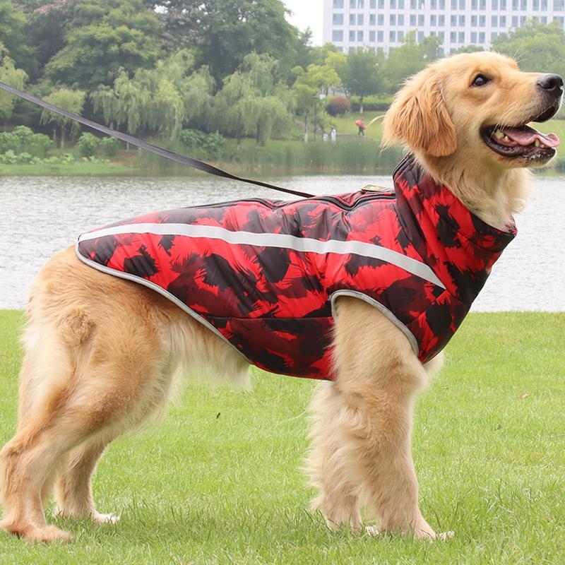 Waterproof Winter Jacket for Dogs - StormGuard