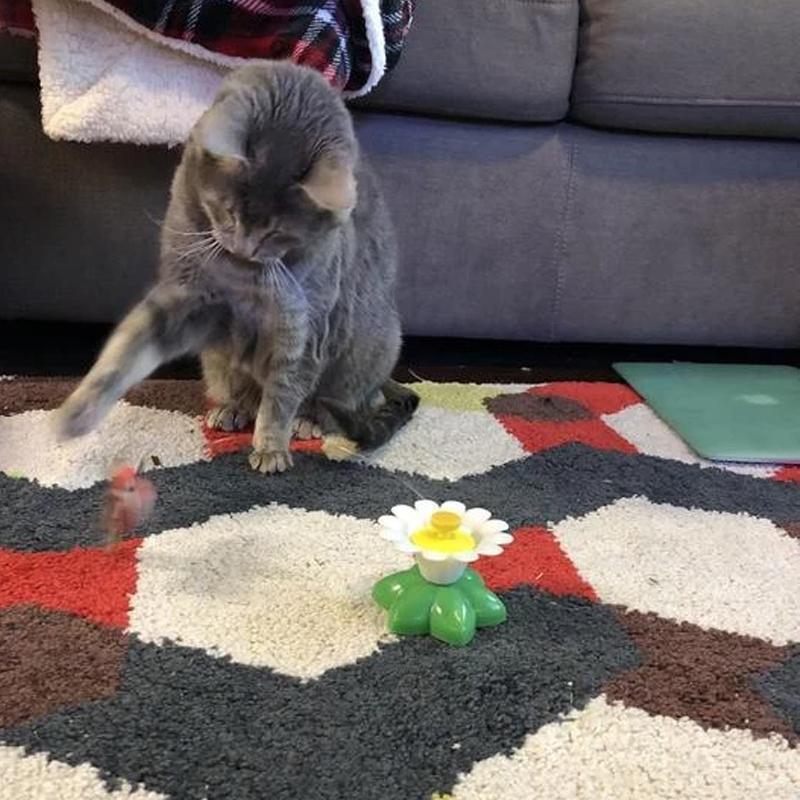 Interactive Bird Toy for Cats - Purrfect Play