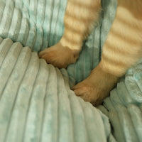 Orthopedic Dog Cushion with Removable Cover - SnuggleRest