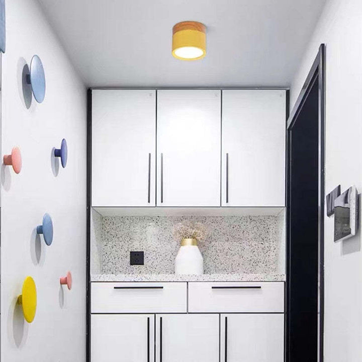 Morandi Style Modern LED Ceiling Lamp - LumiModo
