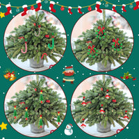 Christmas Ornament Bead Set - BeadCraft