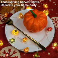 3D Eikel Herfst Lichtsllinger (3 m) - HarvestGlow